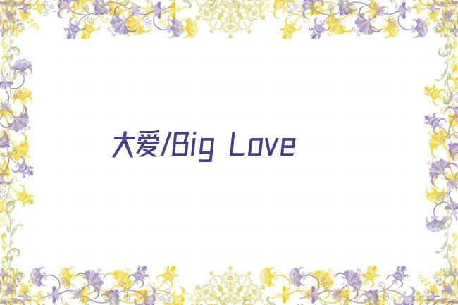 大爱/Big Love剧照